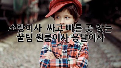 소량이사 🚚💨 싸고 빠른 곳 찾는 꿀팁! #원룸이사 #용달이사